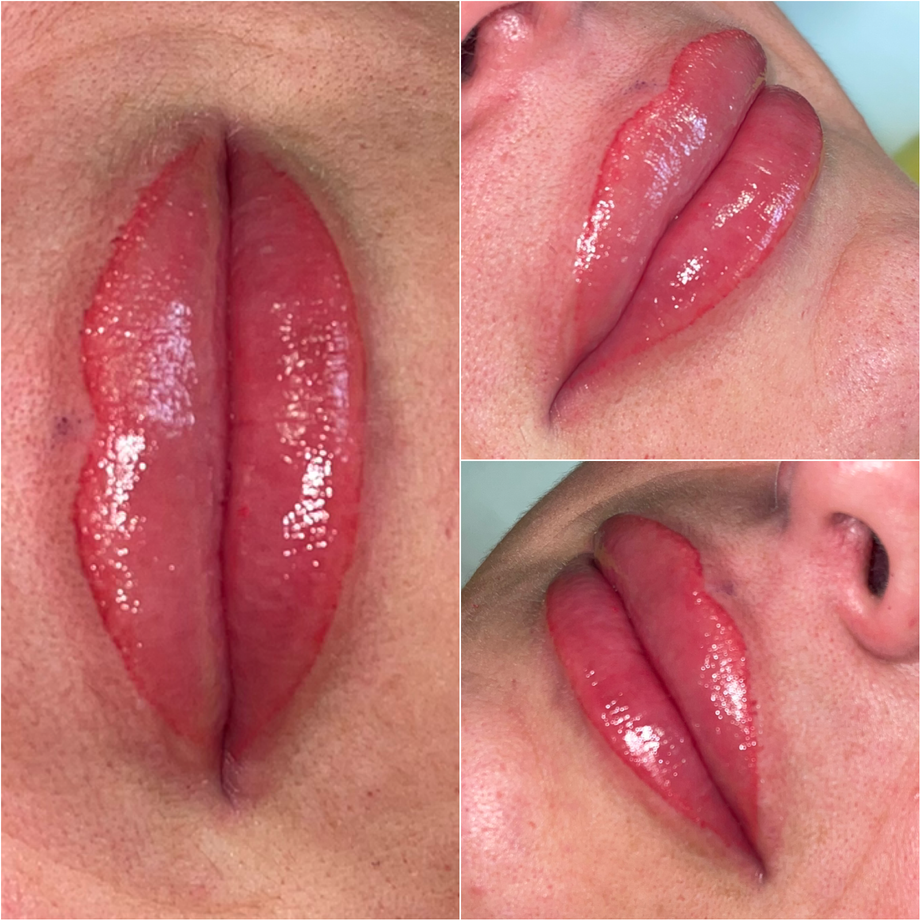 Labios · Forma, color y detalle
